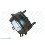 Тормозная камера (дисковый тормоз) T24, K002420 IVECO,..