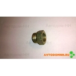 Штуцер тормозной системы (большой) ПАЗ 3205-3509152