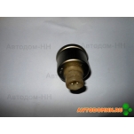 Датчик критического давленя ПАЗ-320402-03 ДКД-1К
