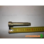 Палец опорный (под диск 19,5) 16-3501071-10